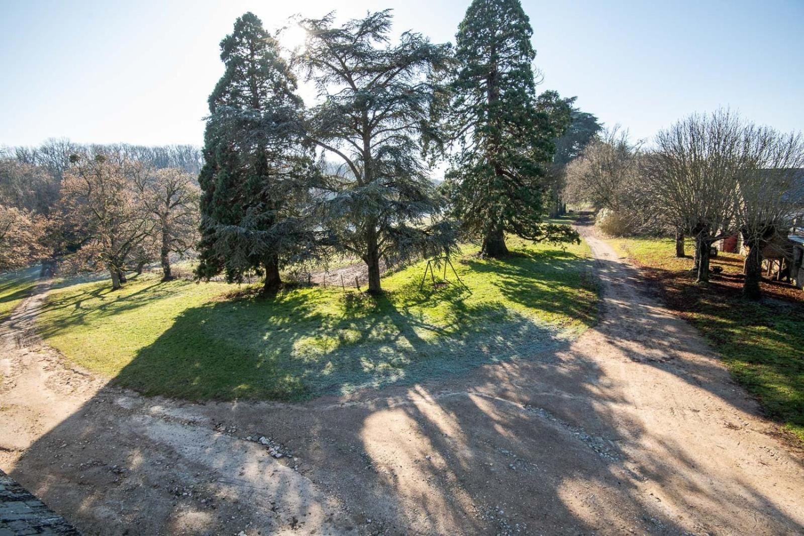 16Th Century Hunting Lodge - Chateau De Nitray アテ・シュル・シェール エクステリア 写真