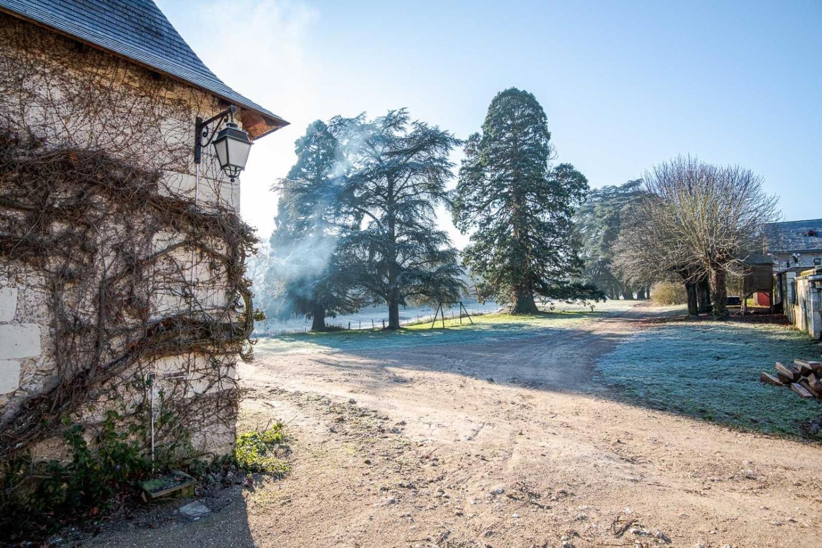 16Th Century Hunting Lodge - Chateau De Nitray アテ・シュル・シェール エクステリア 写真